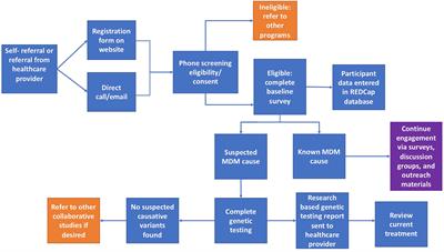 Insight on Diagnosis and Treatment From Over a Decade of Research Through the University of Chicago Monogenic Diabetes Registry